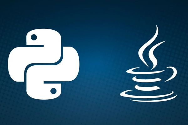 Primeros cursos de programacion Python JAVA